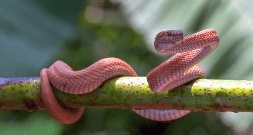 “Senhor, guarda o meu coração de ilusões e sentimentos enganadores. Dá-me discernimento para reconhecer quando o amor não vem de Ti. Ajuda-me a valorizar o verdadeiro amor, que é paciente, benigno e alicerçado na Tua Palavra. Amém.”
