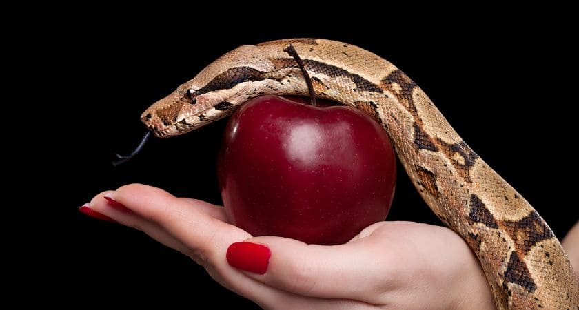 Sonhar com cobra te picando — interpretação espiritual e bíblica