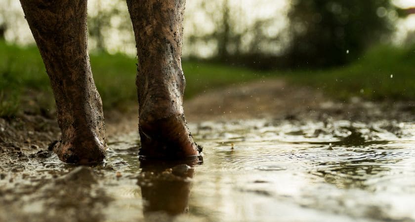 Sonhar com águas escuras e barrentas — significado bíblico e emocional
